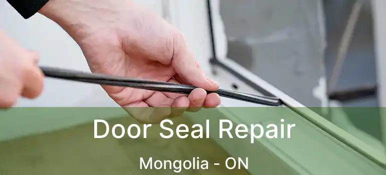  Door Seal Repair Mongolia - ON