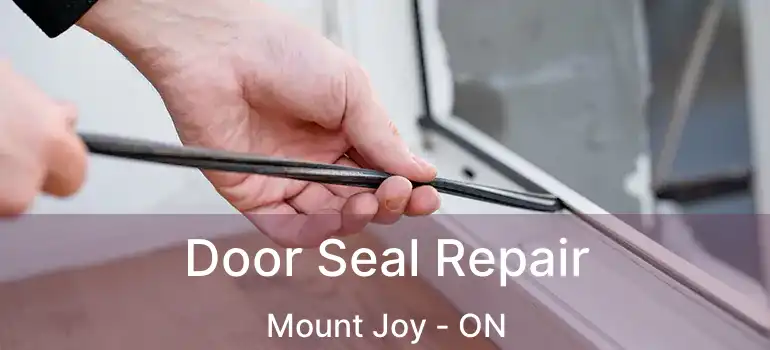  Door Seal Repair Mount Joy - ON