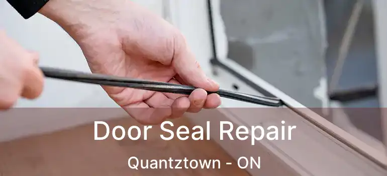  Door Seal Repair Quantztown - ON
