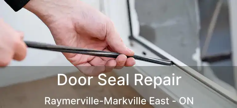  Door Seal Repair Raymerville-Markville East - ON