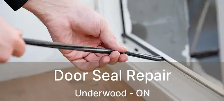  Door Seal Repair Underwood - ON