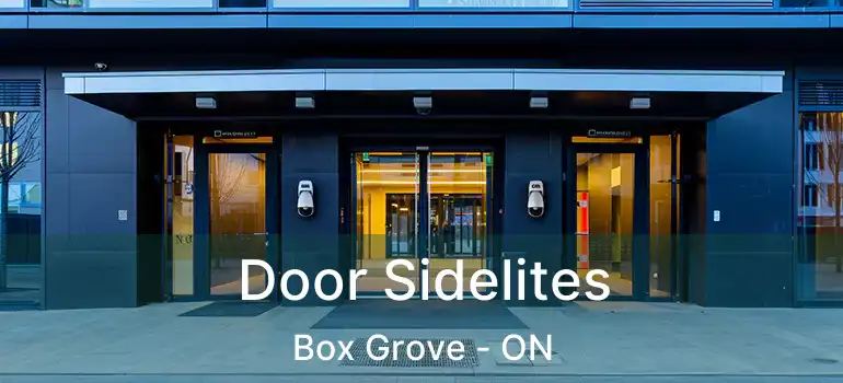  Door Sidelites Box Grove - ON