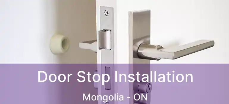  Door Stop Installation Mongolia - ON