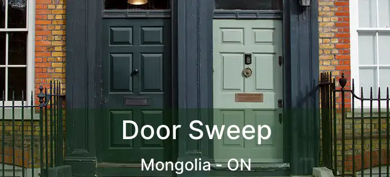  Door Sweep Mongolia - ON