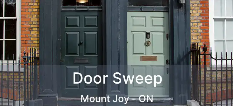  Door Sweep Mount Joy - ON