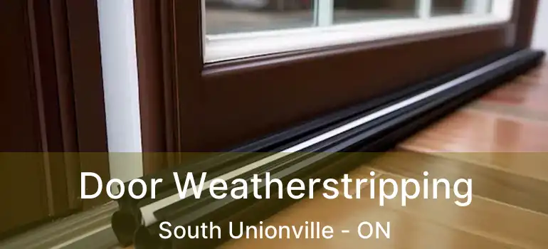  Door Weatherstripping South Unionville - ON