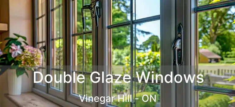  Double Glaze Windows Vinegar Hill - ON
