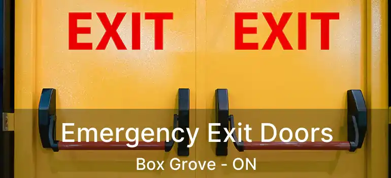  Emergency Exit Doors Box Grove - ON