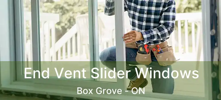  End Vent Slider Windows Box Grove - ON