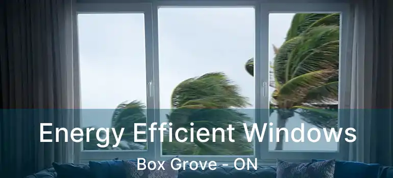  Energy Efficient Windows Box Grove - ON