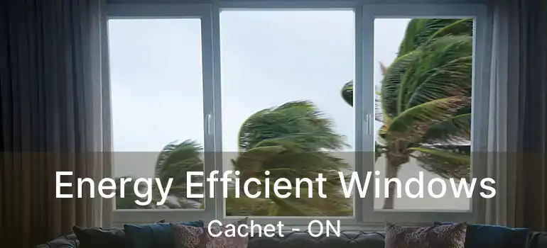  Energy Efficient Windows Cachet - ON