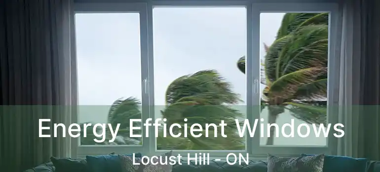  Energy Efficient Windows Locust Hill - ON