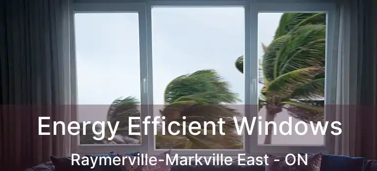  Energy Efficient Windows Raymerville-Markville East - ON