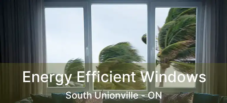  Energy Efficient Windows South Unionville - ON