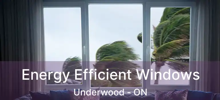  Energy Efficient Windows Underwood - ON