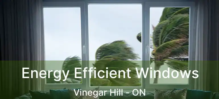  Energy Efficient Windows Vinegar Hill - ON