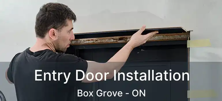  Entry Door Installation Box Grove - ON