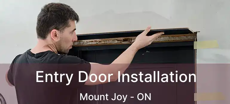  Entry Door Installation Mount Joy - ON