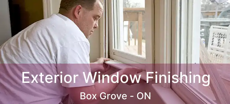  Exterior Window Finishing Box Grove - ON