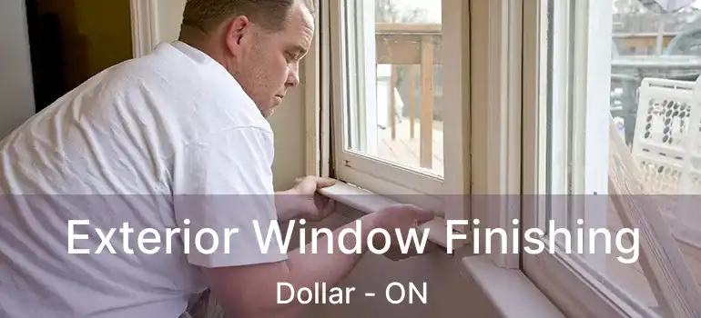  Exterior Window Finishing Dollar - ON