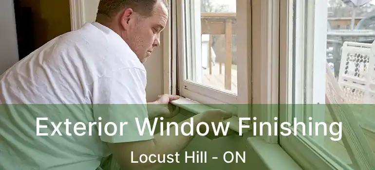  Exterior Window Finishing Locust Hill - ON