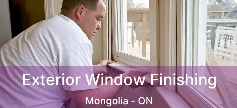  Exterior Window Finishing Mongolia - ON