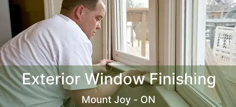  Exterior Window Finishing Mount Joy - ON