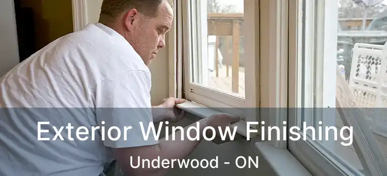  Exterior Window Finishing Underwood - ON