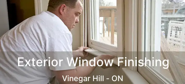  Exterior Window Finishing Vinegar Hill - ON