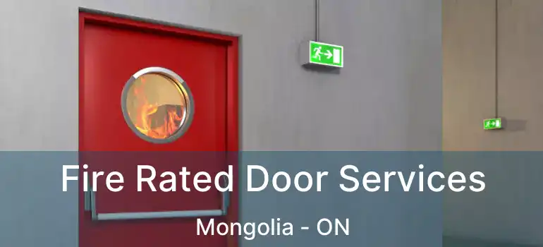  Fire Rated Door Services Mongolia - ON