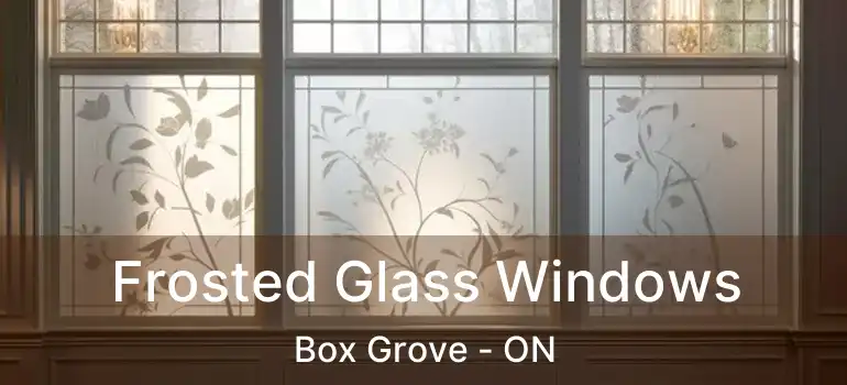  Frosted Glass Windows Box Grove - ON