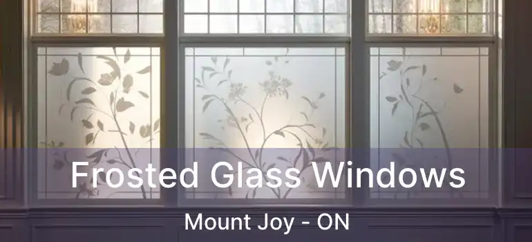  Frosted Glass Windows Mount Joy - ON