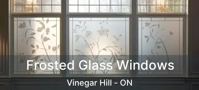  Frosted Glass Windows Vinegar Hill - ON
