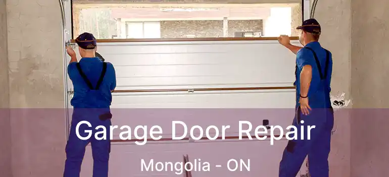  Garage Door Repair Mongolia - ON