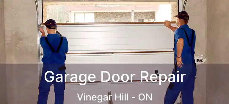  Garage Door Repair Vinegar Hill - ON