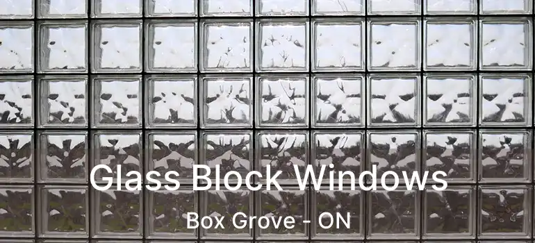  Glass Block Windows Box Grove - ON