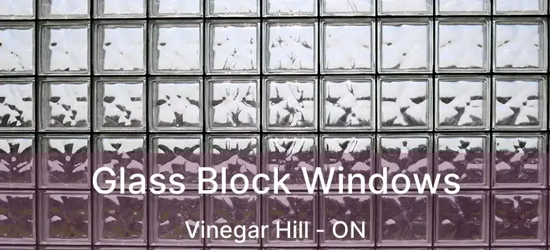  Glass Block Windows Vinegar Hill - ON