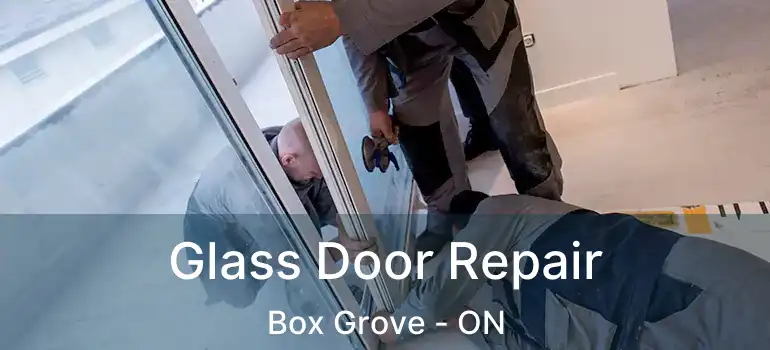  Glass Door Repair Box Grove - ON