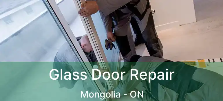  Glass Door Repair Mongolia - ON
