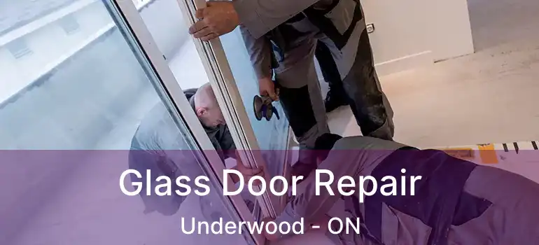 Glass Door Repair Underwood - ON