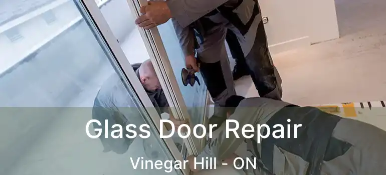  Glass Door Repair Vinegar Hill - ON
