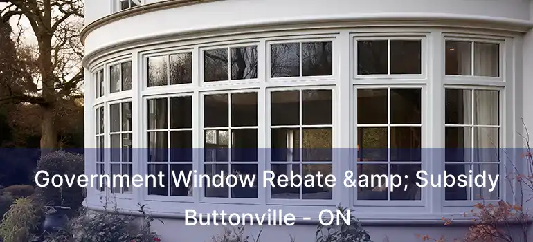  Government Window Rebate & Subsidy Buttonville - ON