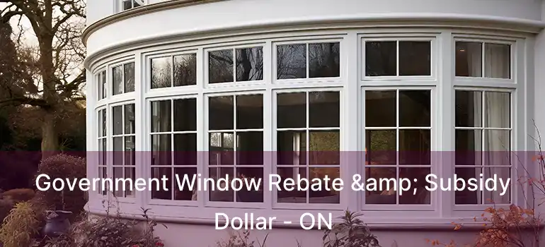  Government Window Rebate & Subsidy Dollar - ON