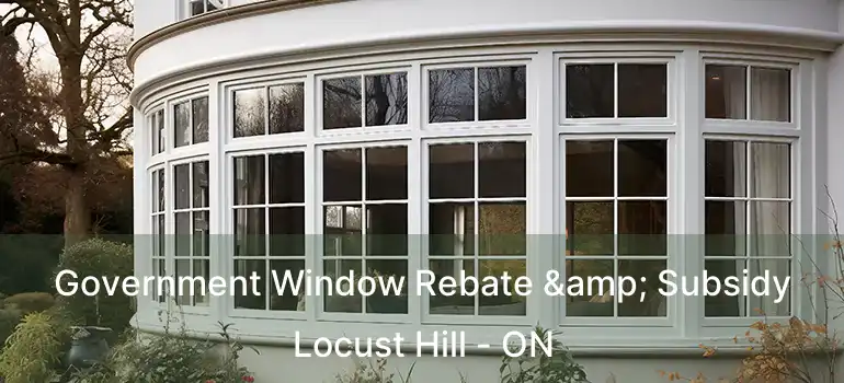  Government Window Rebate & Subsidy Locust Hill - ON