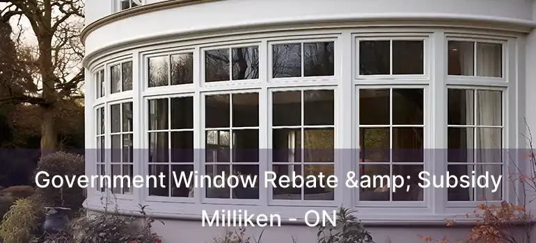  Government Window Rebate & Subsidy Milliken - ON