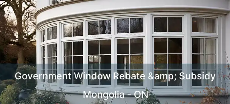  Government Window Rebate & Subsidy Mongolia - ON