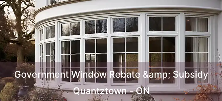  Government Window Rebate & Subsidy Quantztown - ON