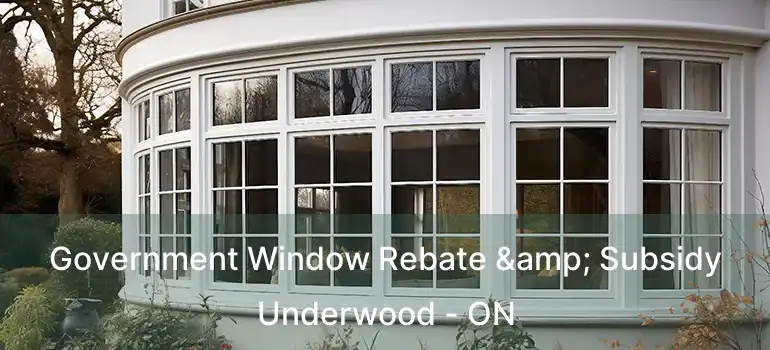  Government Window Rebate & Subsidy Underwood - ON