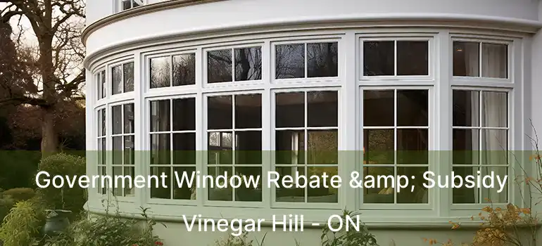 Government Window Rebate & Subsidy Vinegar Hill - ON