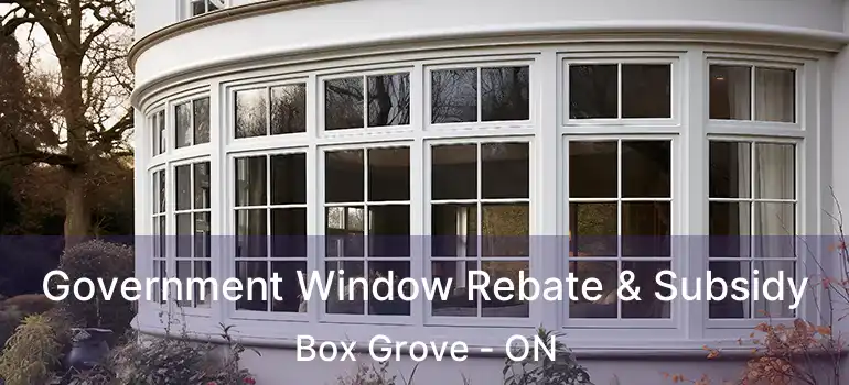  Government Window Rebate & Subsidy Box Grove - ON